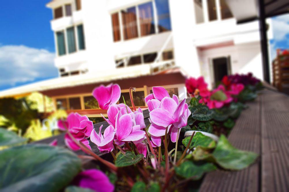 Royal Vila Hotel Tirana Exteriör bild